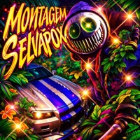 Montagem Selvapox - Single - DJ ØLIVEIRA ZL & Seek ZL