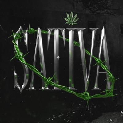 Sativa (feat. IulianMrg) - Single