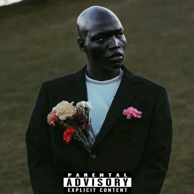 regiment days (feat. Seismic Seine) - EP