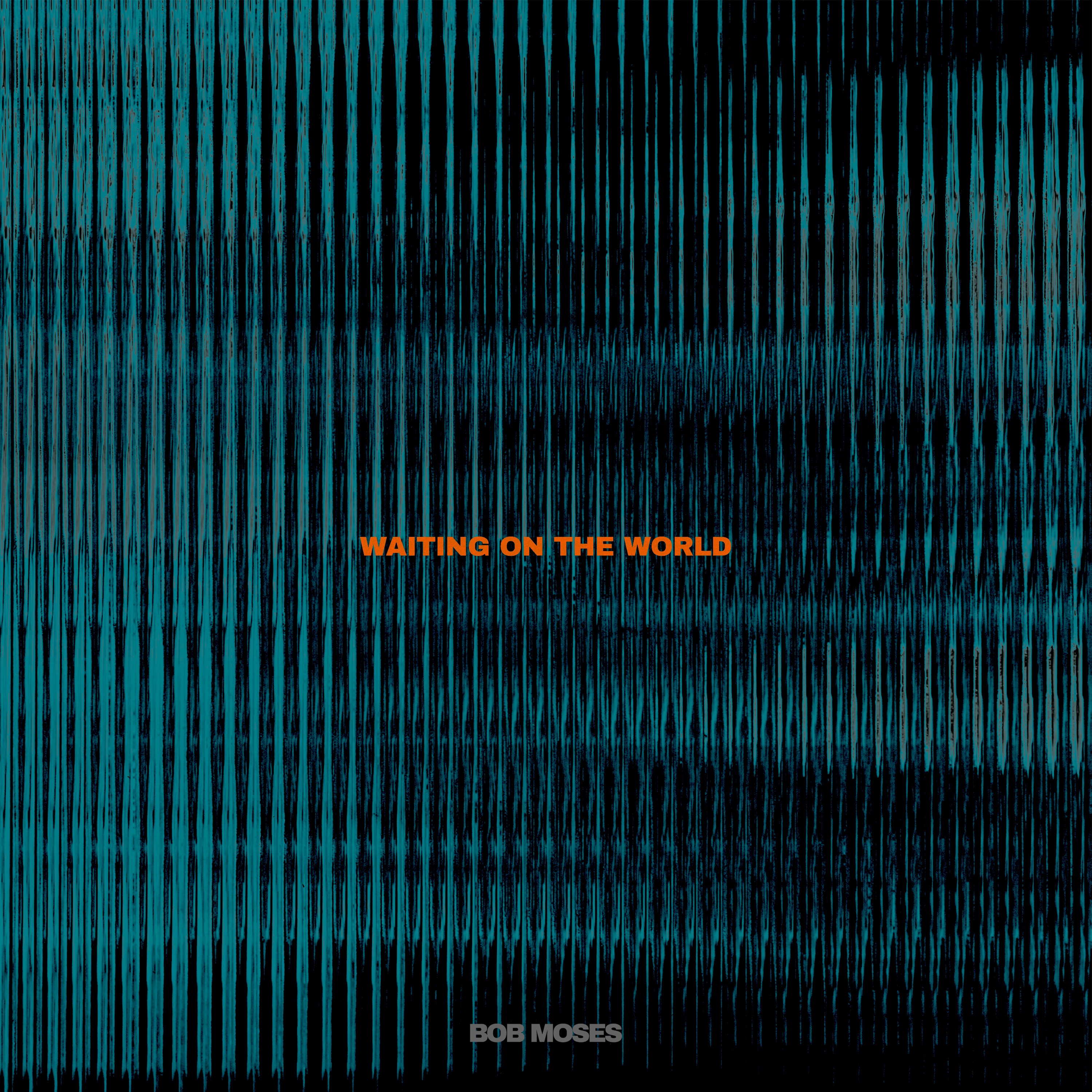 Waiting on the World - Single