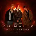 Animal X  N