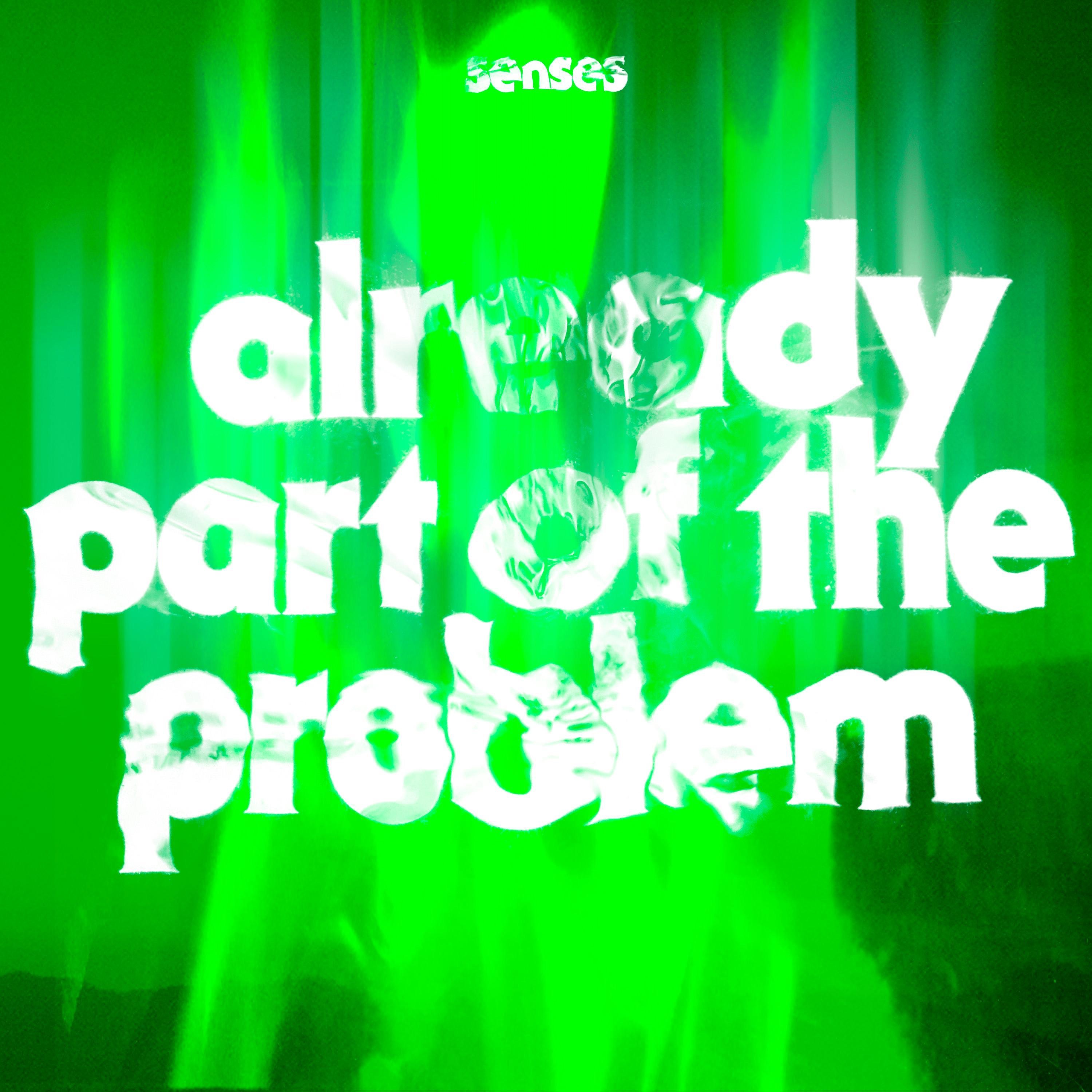 Senses - Already Part Of The Problem