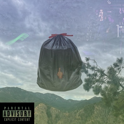 What Is The Point - Single