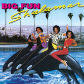 Big Fun (Deluxe Edition)