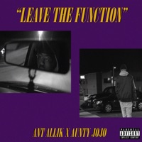 Leave The Function (feat. Aunty Jojo) - Single - Ant Allik