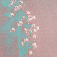 Album cover for Romantic Homicide (Sped Up) - And I'm Sick of Waiting Patiently for Someone That Won't Even Arrive - Single by MADAX