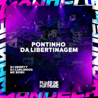 Pontinho da Libertinagem - Single - DJ Henryy, DJ CARLINHOS & Mc Bobii