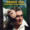 DIN COPITA MURGUL BATE