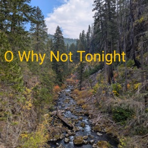 O Why Not Tonight (feat. Sarah Lynn)