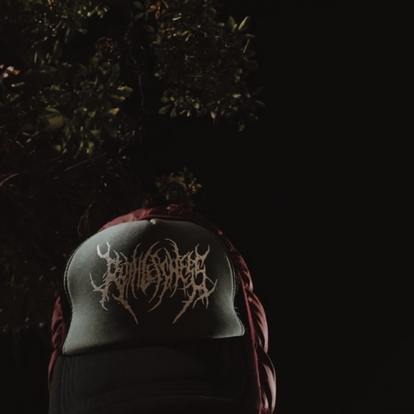 cherry gates+** (feat. m4rkjuugin)