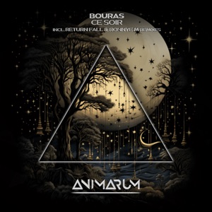 Ce Soir - Single