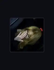 Écoutez Maxarina_venti, regardez des vidéoclips, lisez la biographie, consultez les dates de tournée et plus encore !