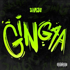 GINGAA Samzo