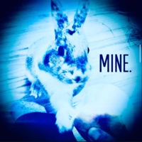 bop it & drop it (full force) - Single - selfloadingimage