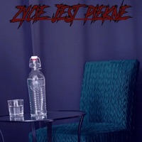 ŻYCIE JEST PIĘKNE - Single - k00