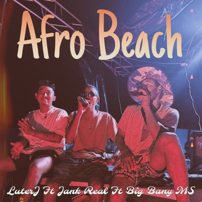 Afro Beach (feat. Big Bany Ms & Jank real) - Single