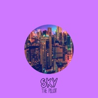 There You Go - Single - Sky the Pilot