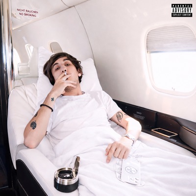 Free Diddy (feat. LIL VAN) - Single