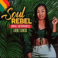 Pushing Through — The Soul Rebel