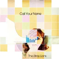 Call Your Name — The Stray Lions