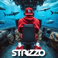 Don't Wanna Go Home (feat. TeamStrizzo Ai) [Tampa Bay] - Single - Strizzo