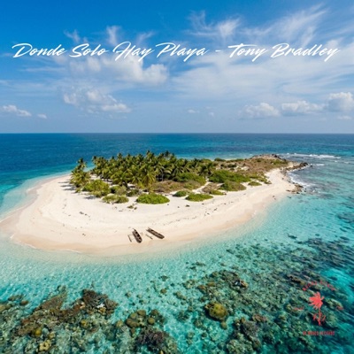 Donde Solo Hay Playa - Single