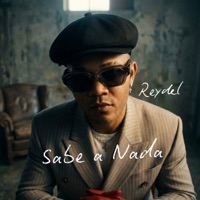 Sabe a Nada - Single - Reydel