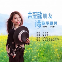 亲爱的朋友请你不要哭 (DJ版) - Single - 小芳