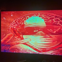 Binladen - Single - $in City