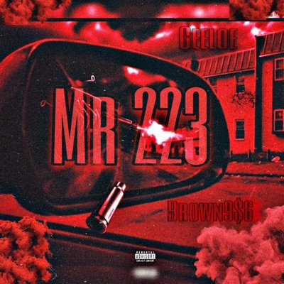 Mr 223 (feat. Ceeloe) - Single