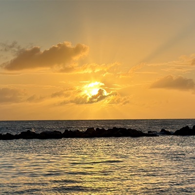 Citrus Skyline - Single