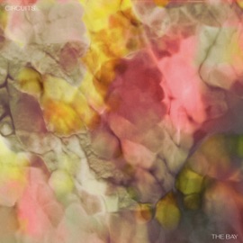 term limit (feat. Yasmina Sadiki) Circuits