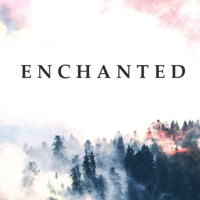 Enchanted - Single - Patrick Lenk