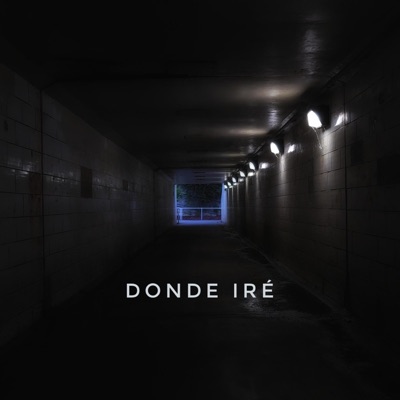 Donde Iré - Single