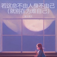 若这命不由人身不由己 - Single - 坡上老王