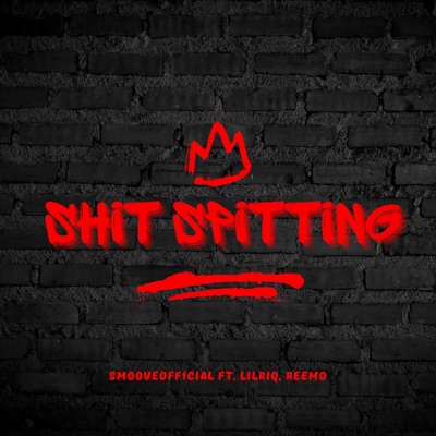Shit spittin (feat. lilriqbxtch & Reemo) - Single