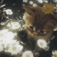 Brainwashed - EP - Gasp