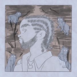 Autobiography Zediam