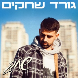 גורד שחקים Shahak
