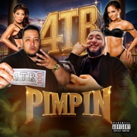 4TB Pimpin (feat. Tengo) - Single - Fonzybo