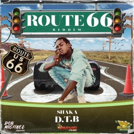 D.T.B (Dont Trust Bitches) (feat. SHAKA) Mblocc