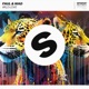 Wild Love Extended Mix Single