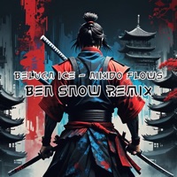 Aikido Flows - Single - Ben Snow & Beluga Ice