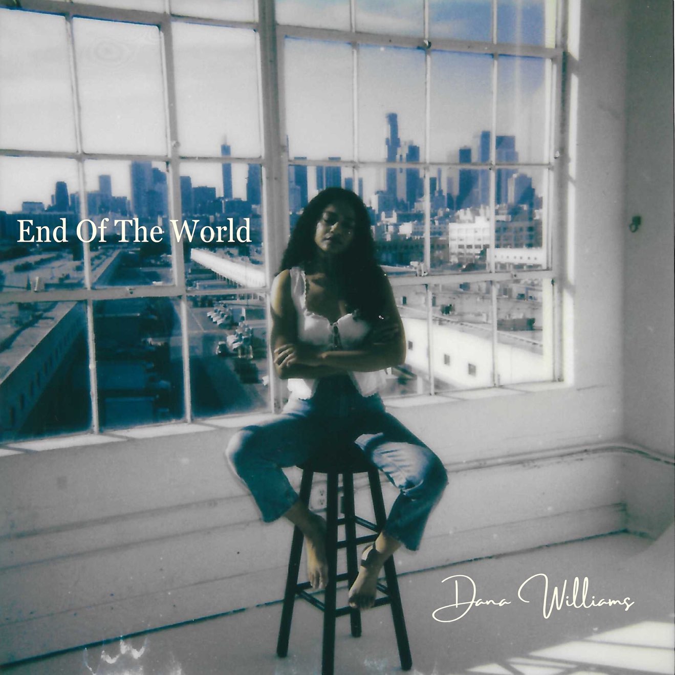 Dana Williams – End of the World (2024) [iTunes Match M4A]