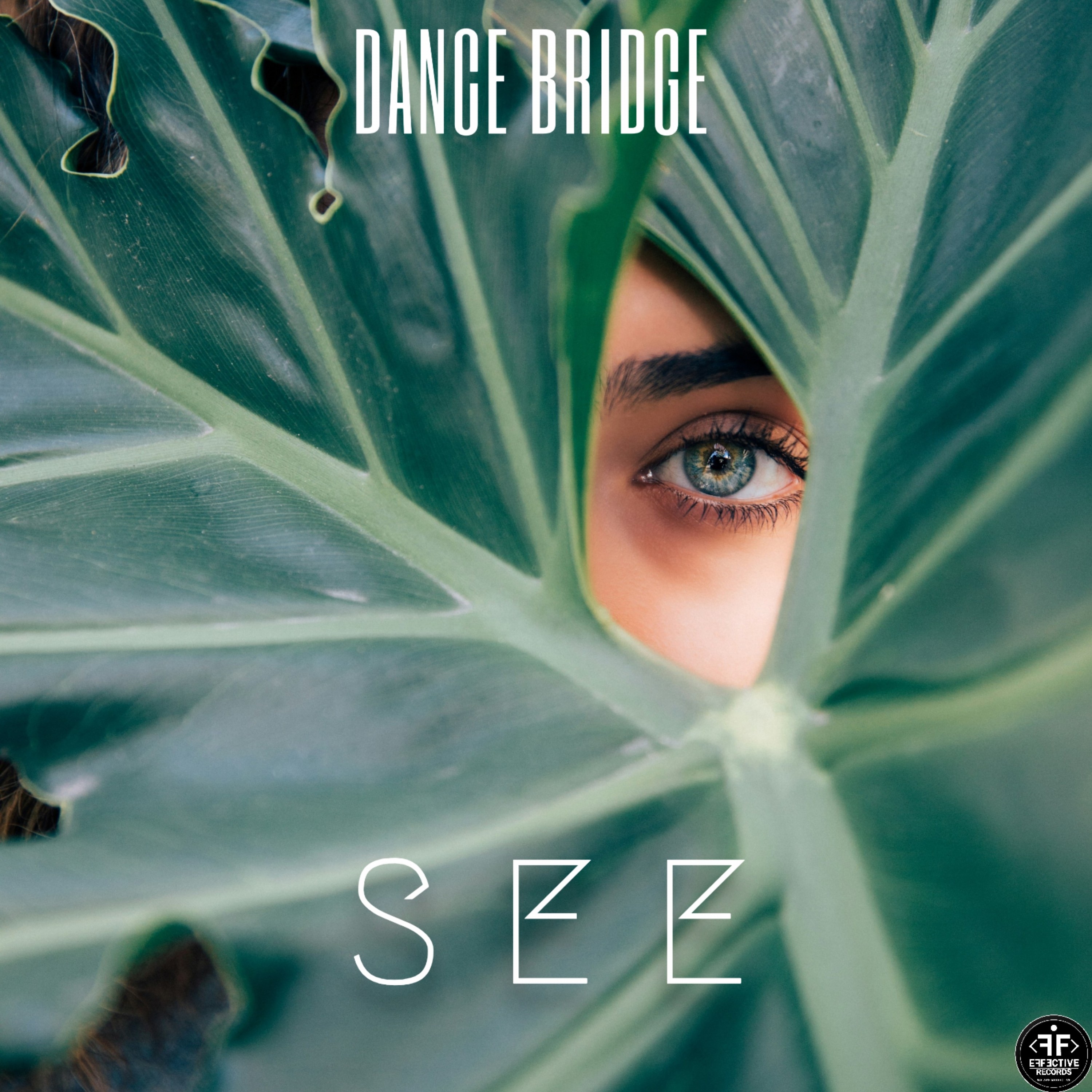 See - Single