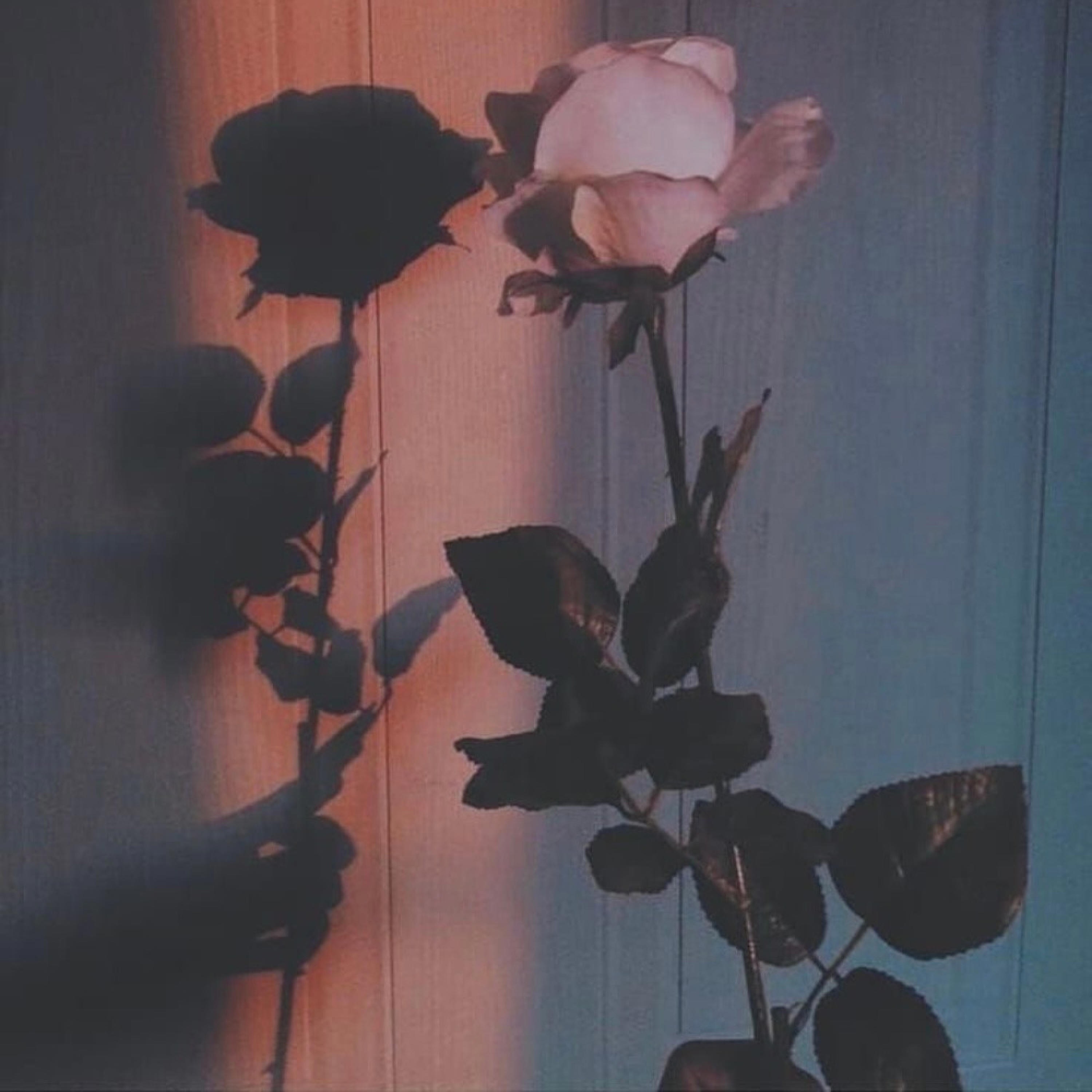 Know Your Worth - Single