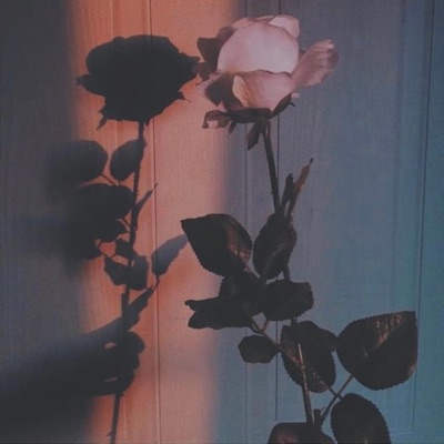 Know Your Worth - Single