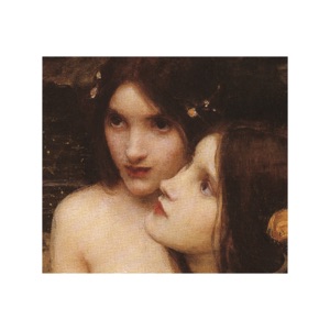 Blue Sky and Yellow Sunflower