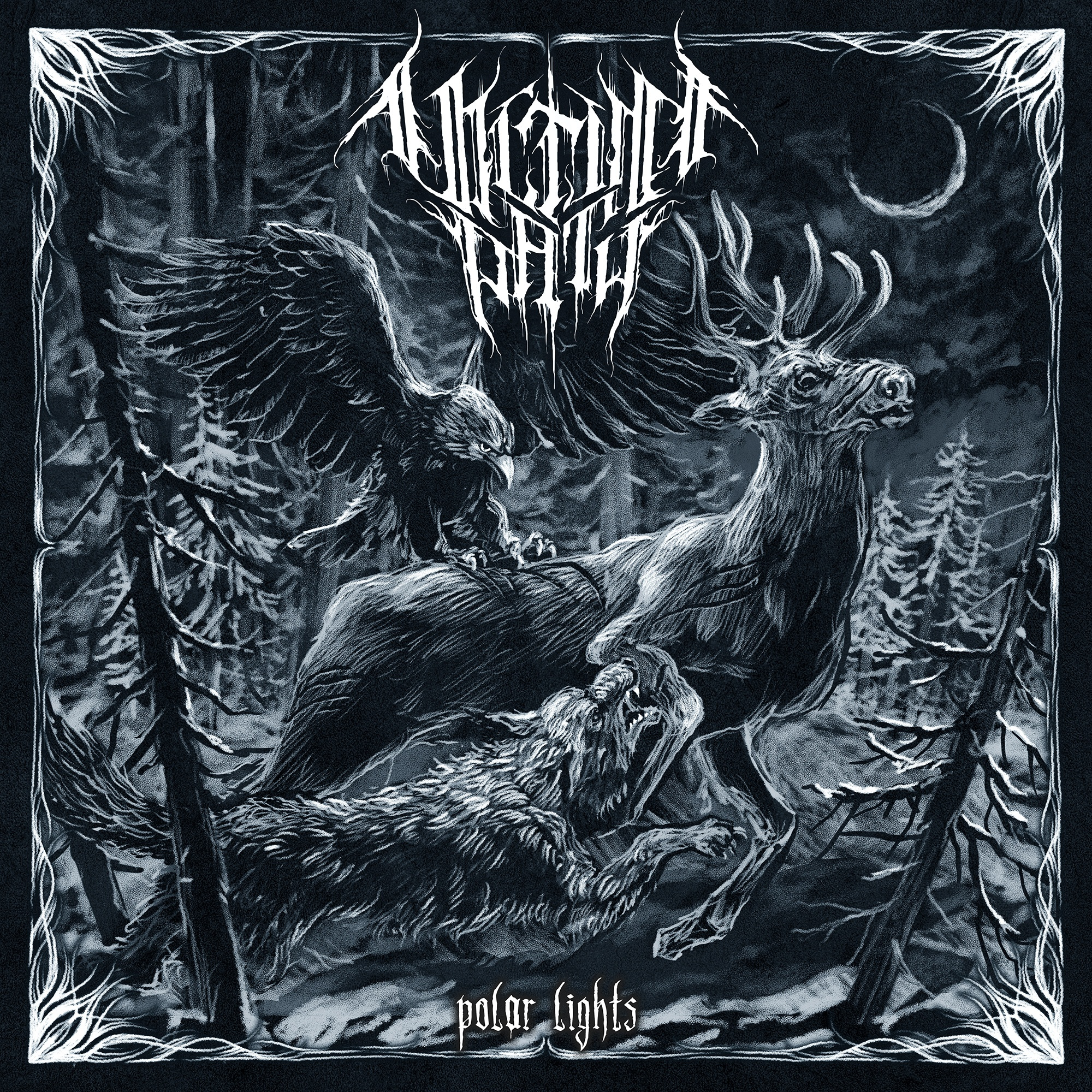 Polar Lights - Single