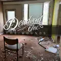 The Wounds
